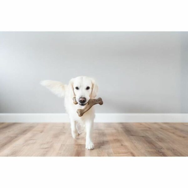 Dog chewing toy Benebone - Image 3