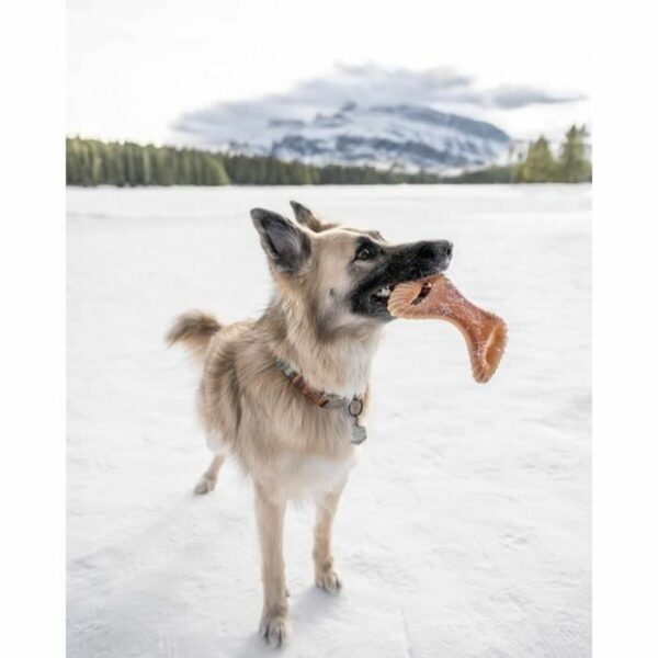 Dog chewing toy Benebone animals - Image 3