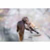 Dog chewing toy Benebone - Image 5