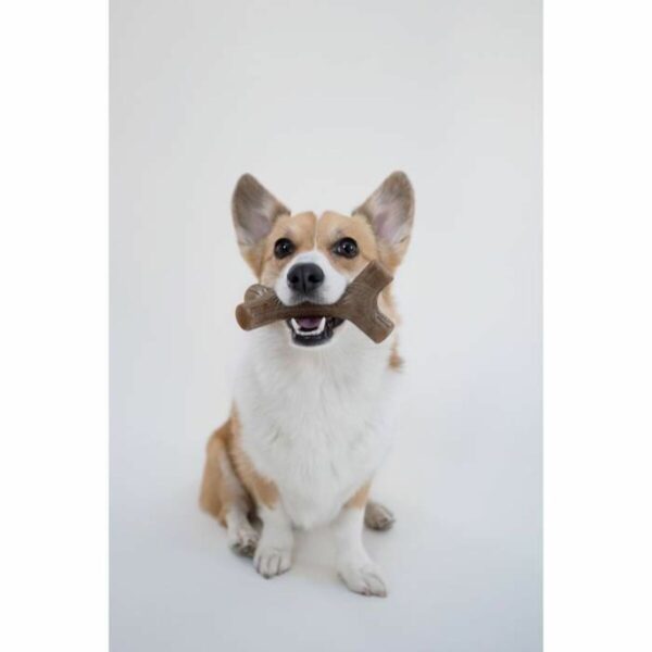 Dog chewing toy Benebone Brown animals - Image 3