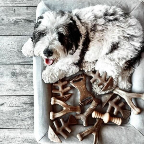 Dog chewing toy Benebone - Image 5