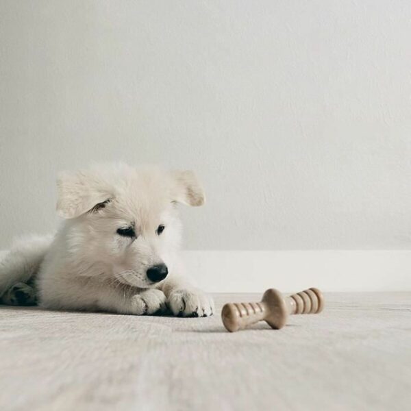 Dog chewing toy Benebone Brown animals - Image 4