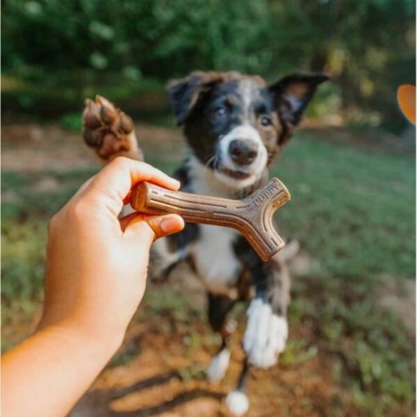 Dog chewing toy Benebone Brown animals - Image 5