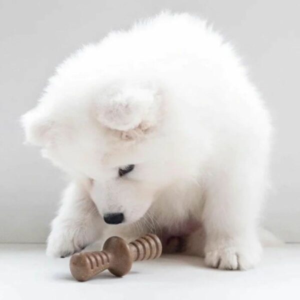 Dog chewing toy Benebone Brown animals - Image 6