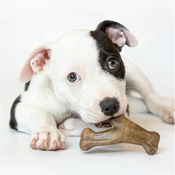 Dog chewing toy Benebone Black animals - Image 5