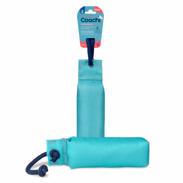 Training toy Coachi TRAINING DUMMY Blue - Image 4