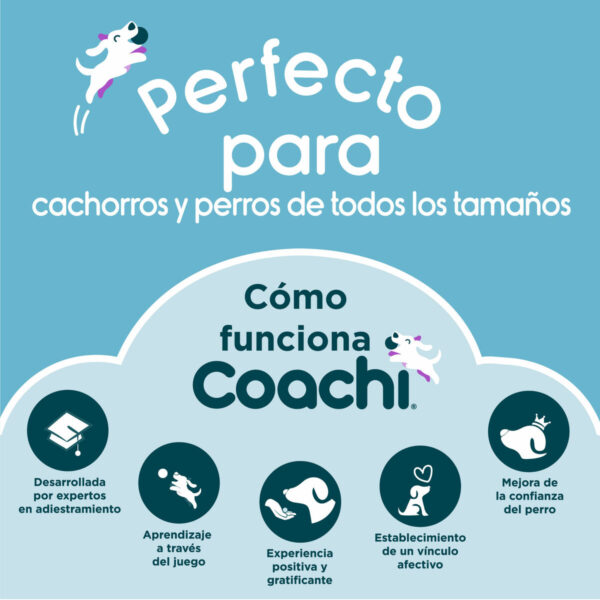 Training toy Coachi TUGGI SPIDER Blue - Image 8