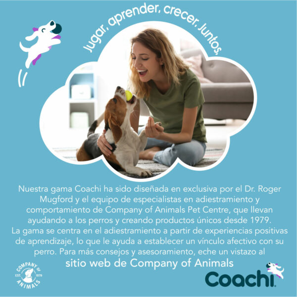 Training toy Coachi TUGGI SPIDER Blue - Image 7