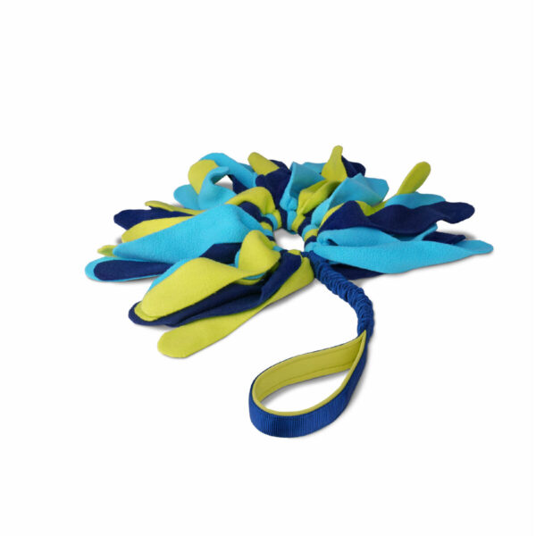 Training toy Coachi TUGGI SPIDER Blue - Image 6