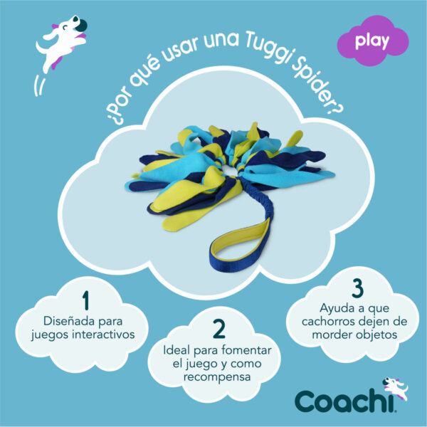 Training toy Coachi TUGGI SPIDER Blue - Image 4