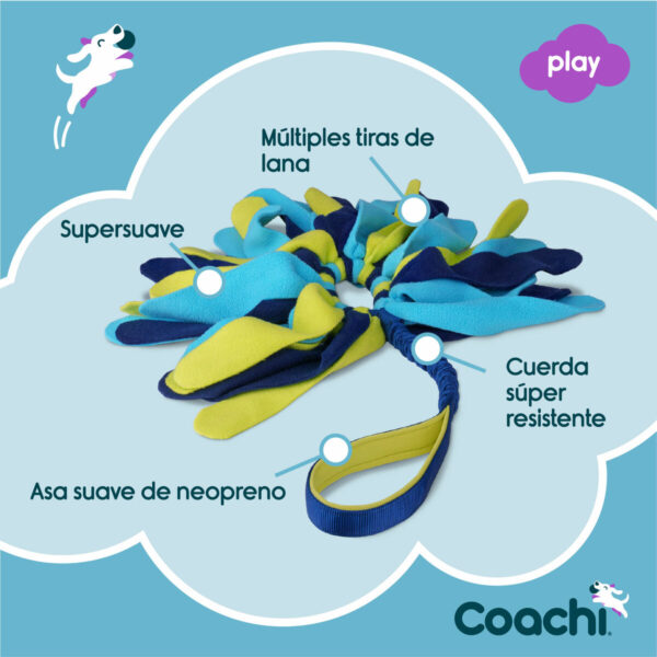 Training toy Coachi TUGGI SPIDER Blue - Image 3