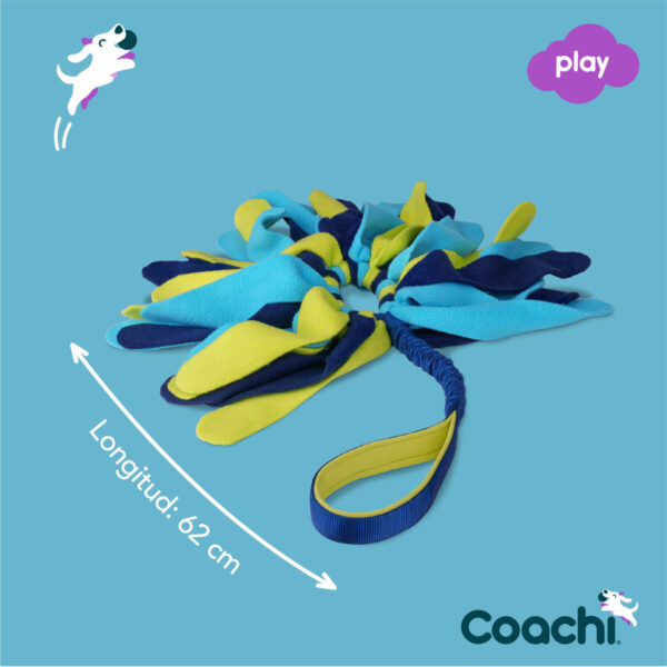 Training toy Coachi TUGGI SPIDER Blue - Image 2