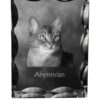 Abyssinian - crystal with a cat picture, glass statuette with a picture, unique frame with a picture from Art-Dog brand