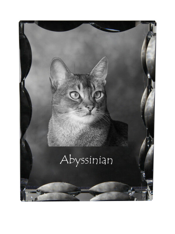 Abyssinian - crystal with a cat picture, glass statuette with a picture, unique frame with a picture from Art-Dog brand