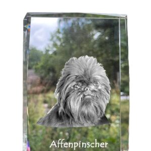 Affenpinscher, Affen, Affie - crystal with a picture of a dog, photo in glass, modern exhibition of Art-Dog brand photo
