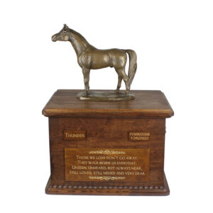 Australian Stock Horse - urn for horse ashes with a statuette, personalized urn with engraving, large box for horse ashes from the Art-Dog brand