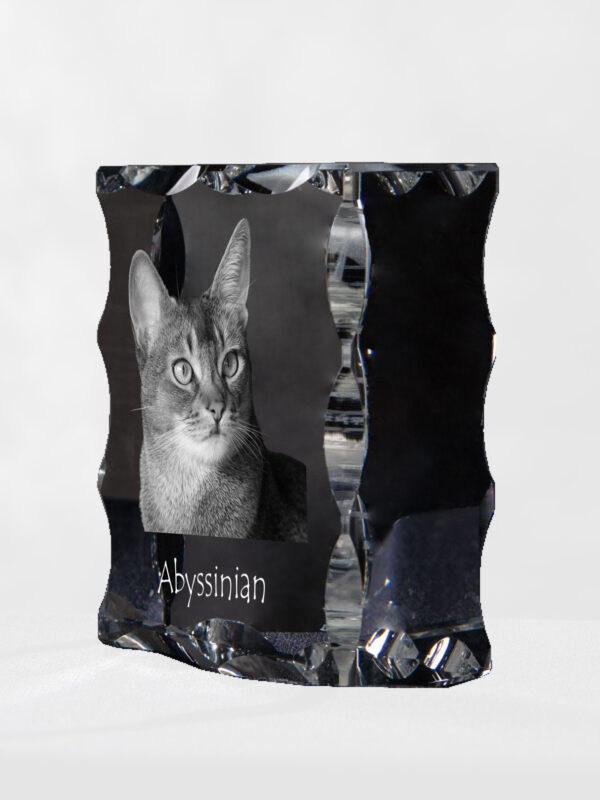 Abyssinian - crystal with a cat picture, glass statuette with a picture, unique frame with a picture from Art-Dog brand - Image 2