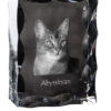 Abyssinian - crystal with a cat picture, glass statuette with a picture, unique frame with a picture from Art-Dog brand - Image 3