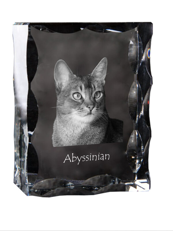 Abyssinian - crystal with a cat picture, glass statuette with a picture, unique frame with a picture from Art-Dog brand - Image 3