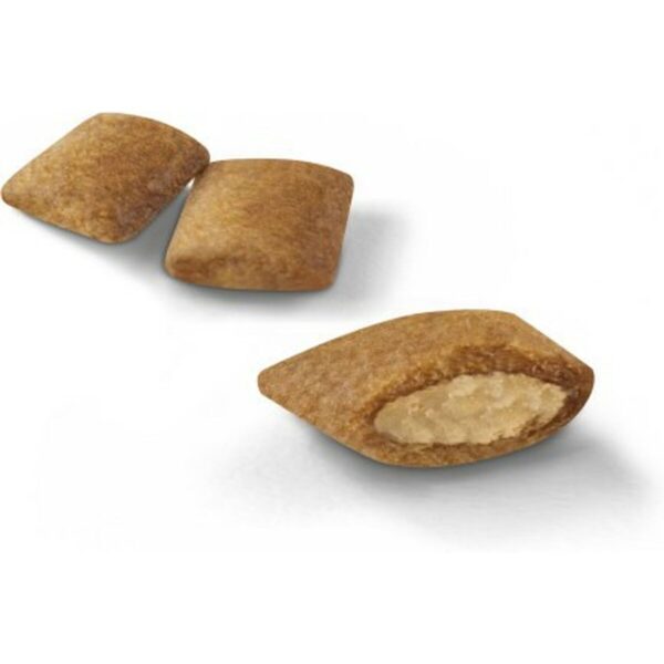 Cat food Royal Canin Senior 2 Kg Chicken - Image 2