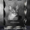 Abyssinian - crystal with a cat picture, glass statuette with a picture, unique frame with a picture from Art-Dog brand - Image 4