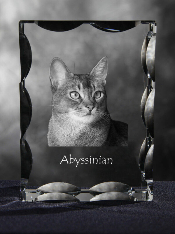 Abyssinian - crystal with a cat picture, glass statuette with a picture, unique frame with a picture from Art-Dog brand - Image 4