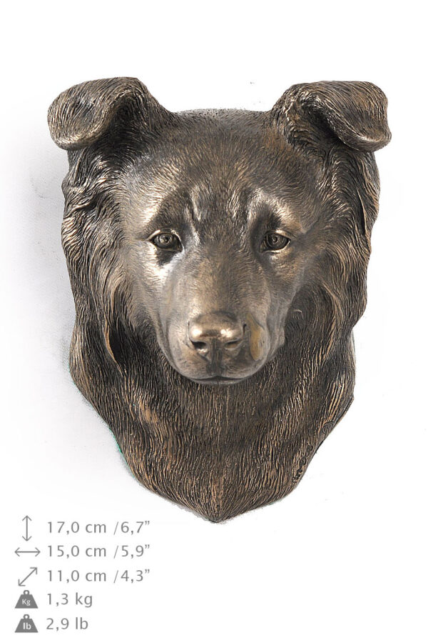 Border Collie - Dog statue, hanging bust, unique decoration for dog lover by Art-Dog brand - Image 5
