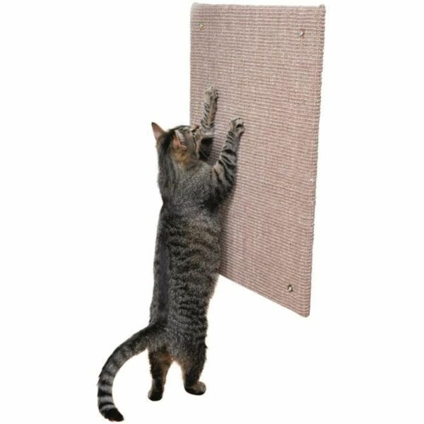 Scratching Post for Cats XXL Trixie Brown Taupe 50 x 70 cm - Image 2
