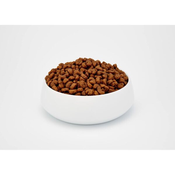 Cat food BOSCH Urinary Adult Birds 10 kg - Image 3