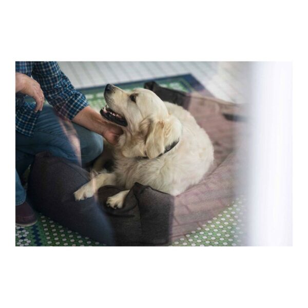 Dog Sofa Hunter Boston Brown (60 x 50 cm) - Image 2