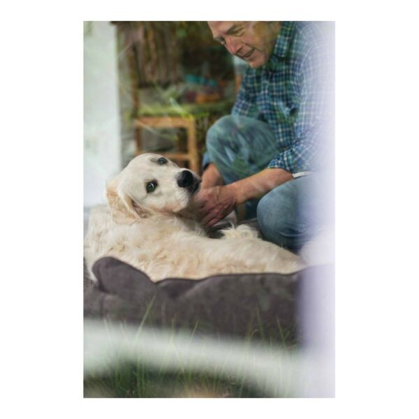 Dog Sofa Hunter Boston Brown (60 x 50 cm) - Image 3