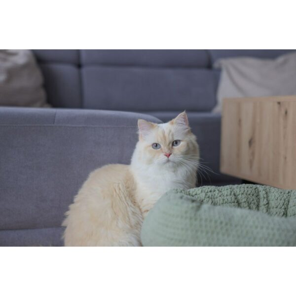 Cat Bed Kerbl 80928 Green - Image 2