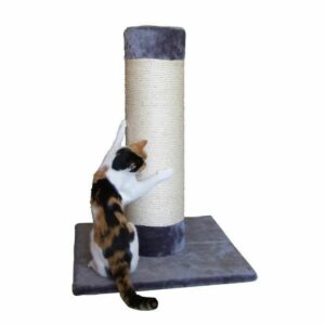 Pet Toys