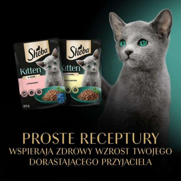 Cat food Sheba Kitten Chicken - Image 3