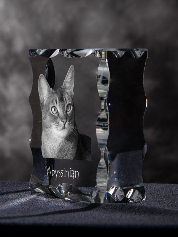 Abyssinian - crystal with a cat picture, glass statuette with a picture, unique frame with a picture from Art-Dog brand - Image 5