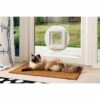 Cat Flap SureFlap SUR101 17,8 x 17 cm - Image 3