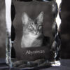 Abyssinian - crystal with a cat picture, glass statuette with a picture, unique frame with a picture from Art-Dog brand - Image 6