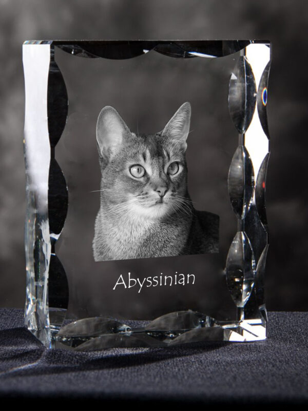 Abyssinian - crystal with a cat picture, glass statuette with a picture, unique frame with a picture from Art-Dog brand - Image 6