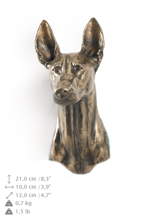Pharaoh Hound, Kelb tal-Fenek - Dog statue, hanging bust, unique decoration for dog lover by Art-Dog brand - Image 7
