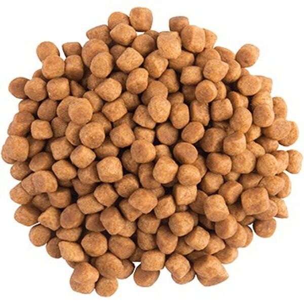 Cat food Purina Pro Plan Chicken 1,5 Kg - Image 4