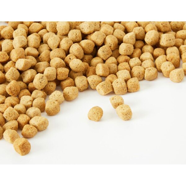 Dog Food Purina Pro Plan Veterinary Diets Adult Meat - Image 3