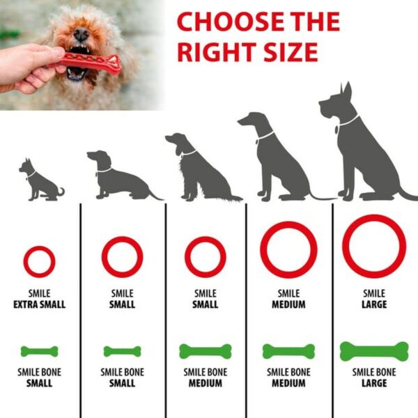 Dog chewing toy Ferplast Red Natural rubber - Image 6