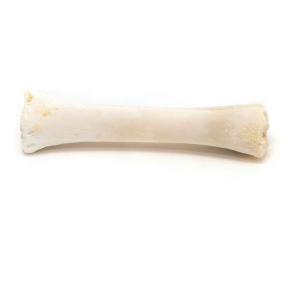Dog Snack Gloria Bone Calcium 20 Units - Image 2