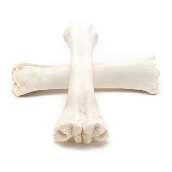 Dog Snack Gloria Bone Calcium 20 Units - Image 3