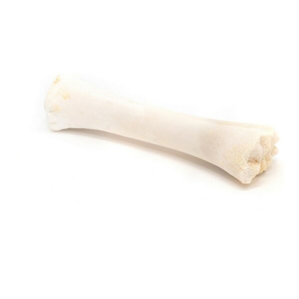 Dog Snack Gloria Bone Calcium 20 Units - Image 5