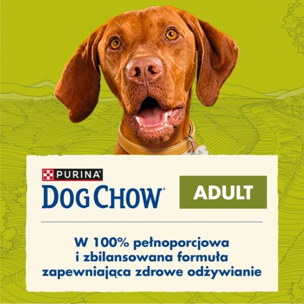 Fodder Purina Dog Chow Adult Lamb Lamb - Image 2