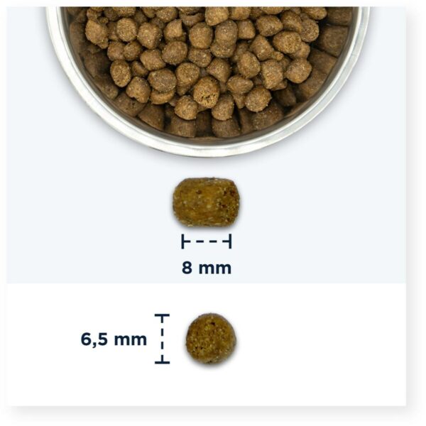 Cat food Eukanuba Hairball Control Chicken Chicken 10 kg - Image 3