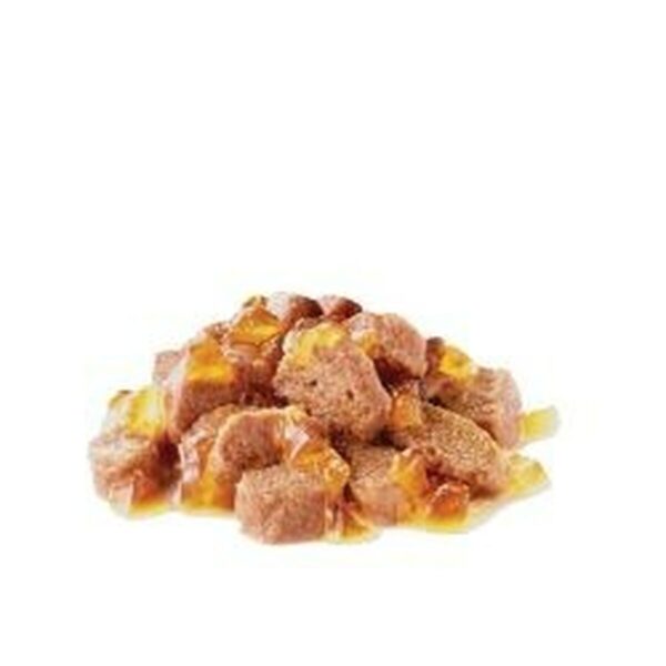 Cat food Royal Canin FHN Ageing 12+ Meat 12 x 85 g - Image 2