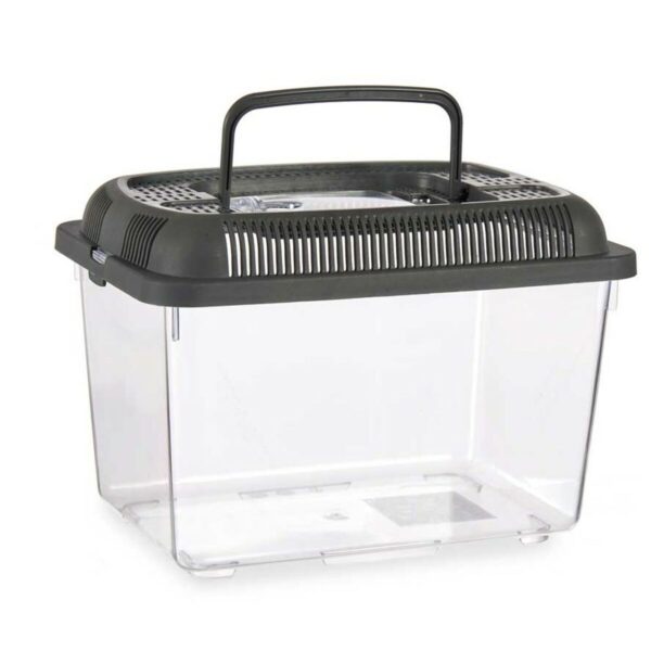 Fish tank With handle Large Grey Plastic 7 L 20 x 20 x 30 cm (8 Units) - Image 2